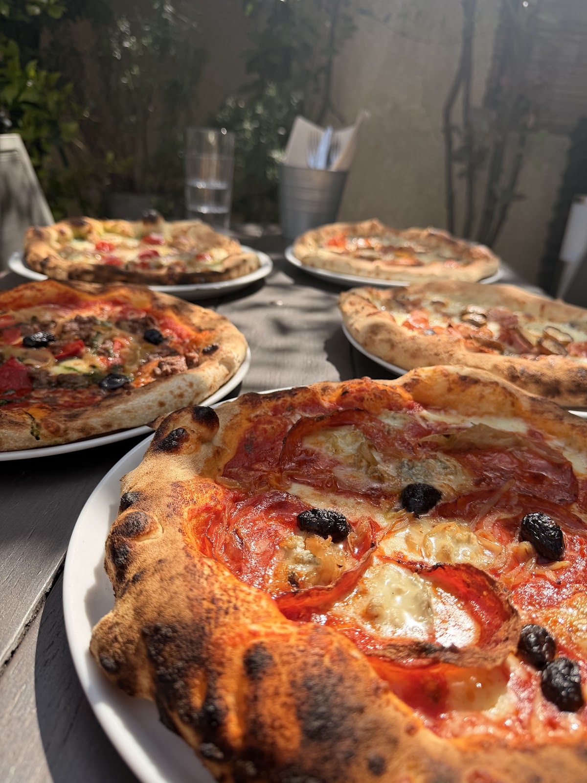 Wood-fired pizzas